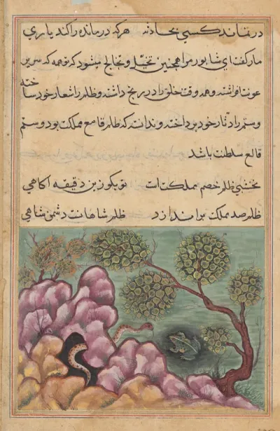 The dethroned frog Shapur seeks the help of the serpent, from a Tuti-nama (Tales of a Parrot): Twenth-sixth Night