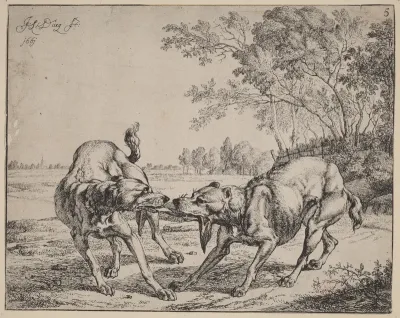 The Disputed Meat (La viande disputé)