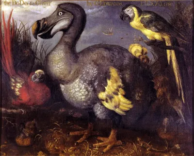 The Dodo