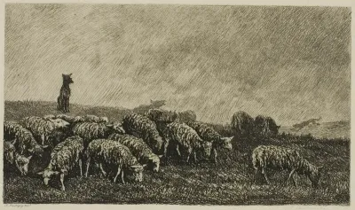 The Dog's Watch