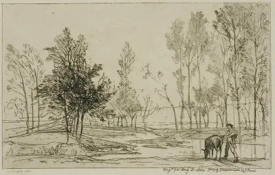 The Donkey at the Watering Place