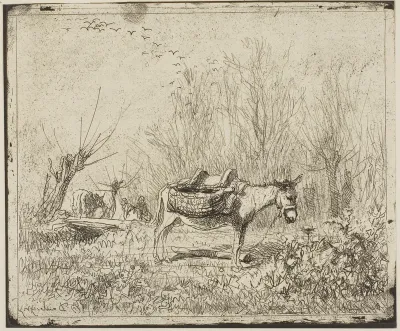 The Donkey in the Meadow