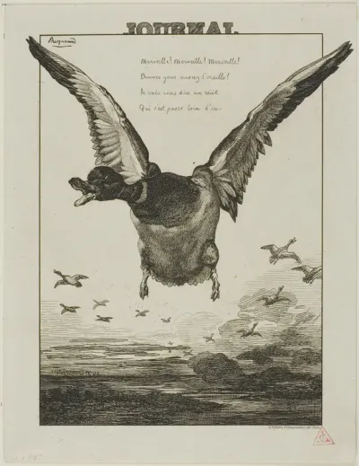 The Duck