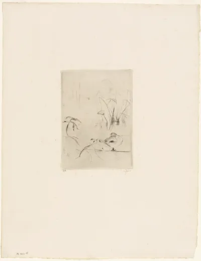 The Duck