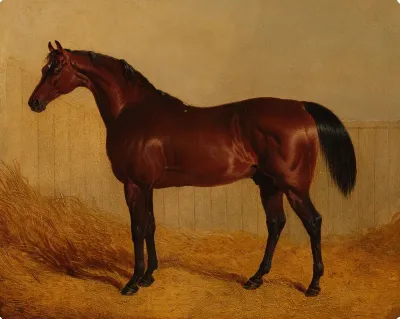 The Duke of Grafton's Whisker in a Stable