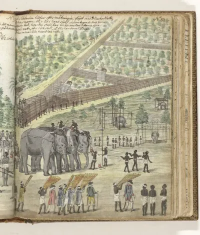The Elephant Hunt