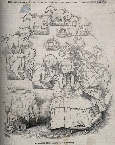 The evolution of a cat into an old woman, and her stool into a dog into a man in a cage into her skirt; representing Darwin's theories