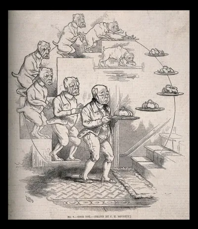 The evolution of a dog and bone into a butler bearing a silver serving-dish; representing Darwin's theories