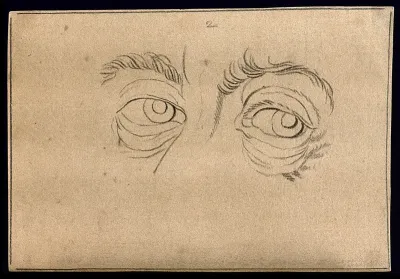 The eyes of a man; expressing, according to Lavater, greatness, prudence and courage