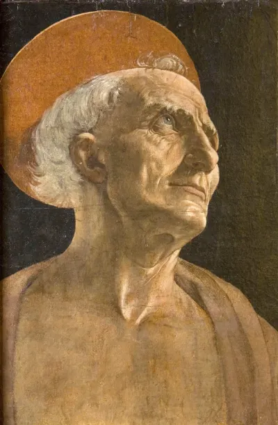 The Face of Saint Jerome