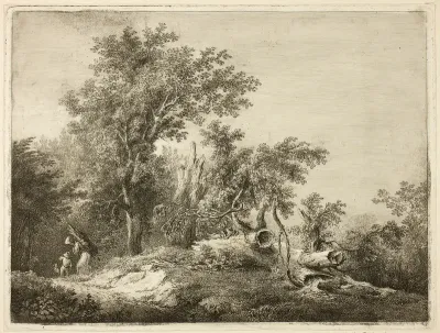 The Fallen Tree Trunk