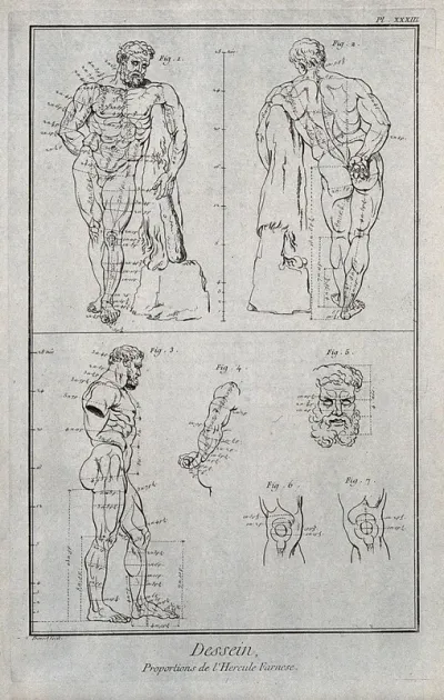 The Farnese Hercules seen from the front, the back and in profile; details of the right arm, head and knee