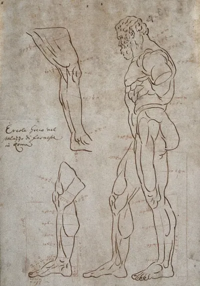 The Farnese Hercules seen from the right and two sketches of the right leg
