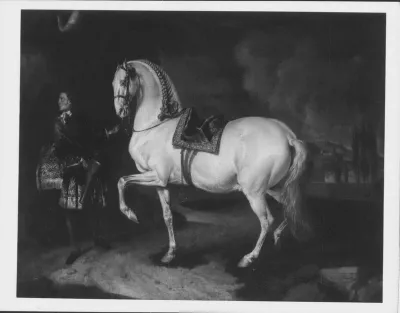 The Favourite Horse of the Duke of Modena