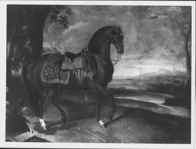 The Favourite Horse of the Emperor Ferdinand