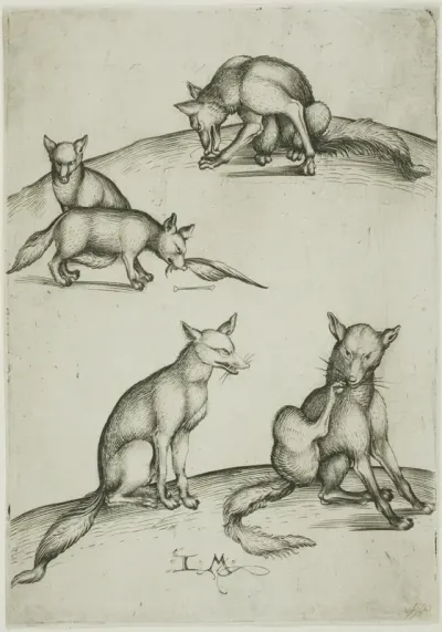 The Five Foxes
