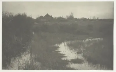 The Fringe of the Marsh