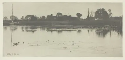 The Fringe of the Mere