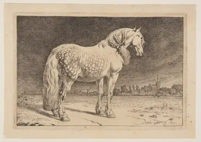 The Frisian Horse, from Series of Horses