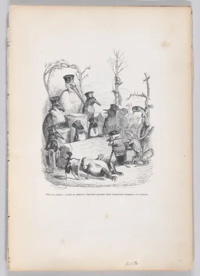 The further we go, the less we penetrate the horrible mystery of which the unfortunate toad was a victim, from "Scenes from the Private and Public Life of Animals"