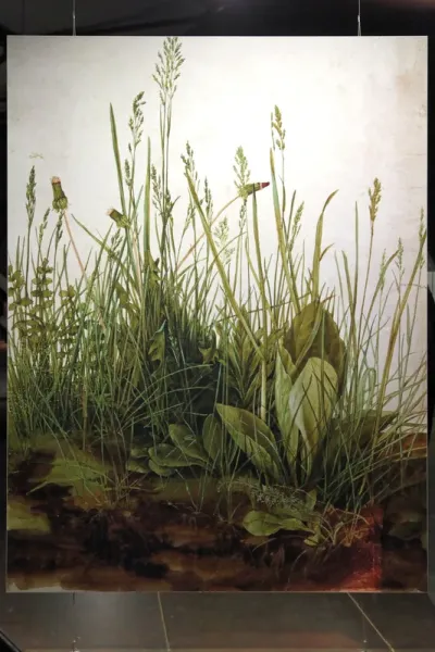 The Great Piece of Turf