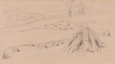 The Harvest Field