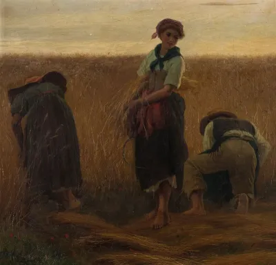 The hay harvest