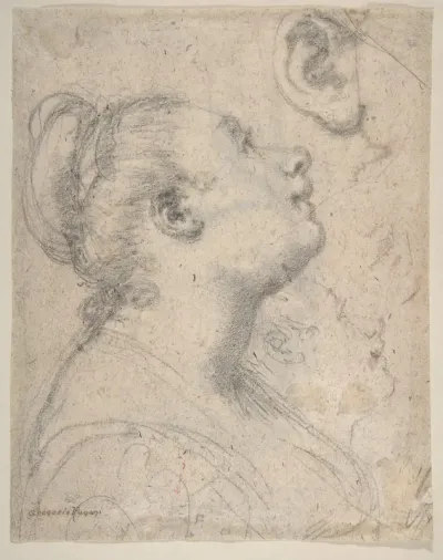 The Head and Shoulders of a Woman in Profile; Separate Studies of Her Head and Ear (recto); Fragment of Drapery Study, Profile of Architectural Molding (verso)