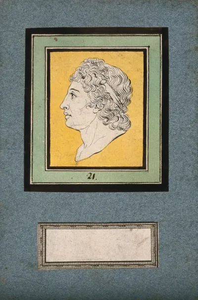 The head of Apollo, his physiognomy having metamorphosed from that of a frog