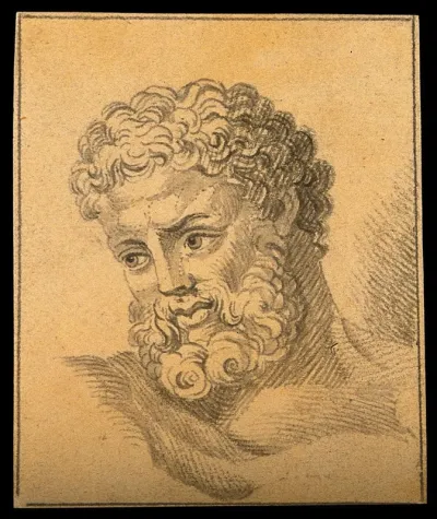 The head of Hercules