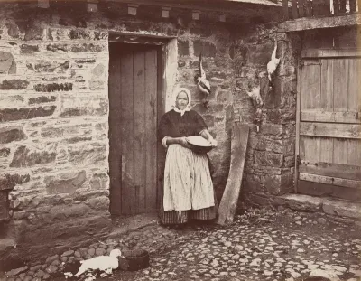 The Hen Wife