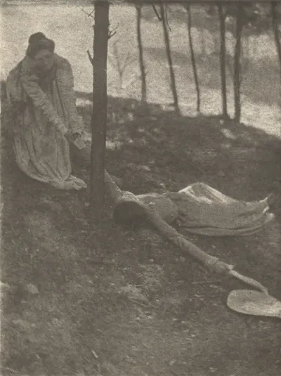 The Hillside
