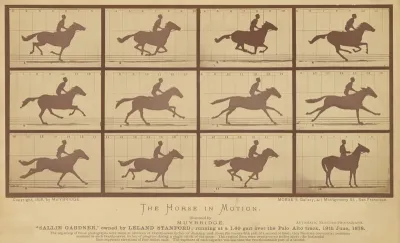 The Horse in Motion