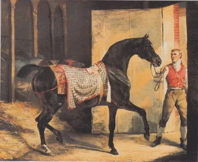 The horse is out of the stable