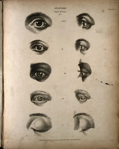 The human eye: ten figures, showing the eye open and closed