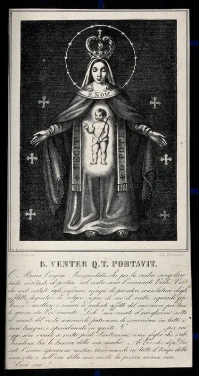 The Immaculate Virgin