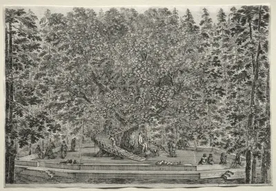 The Inhabited Tree