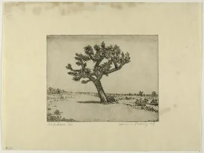 The Joshua Tree