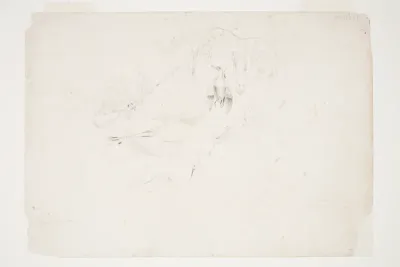 The 'Koetuku' or White Heron and Paradise Duck