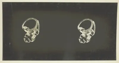 The Labyrinth of Animals; Including Mammals, Birds, Reptiles, & Amphibians - Vol. I