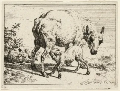 The Lamb
