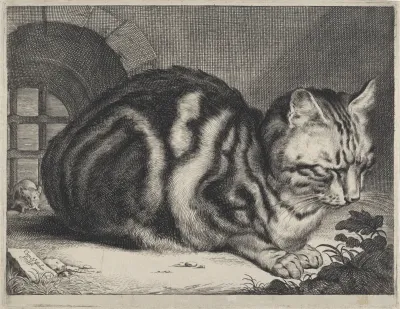 The Large Cat