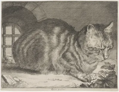 The Large Cat
