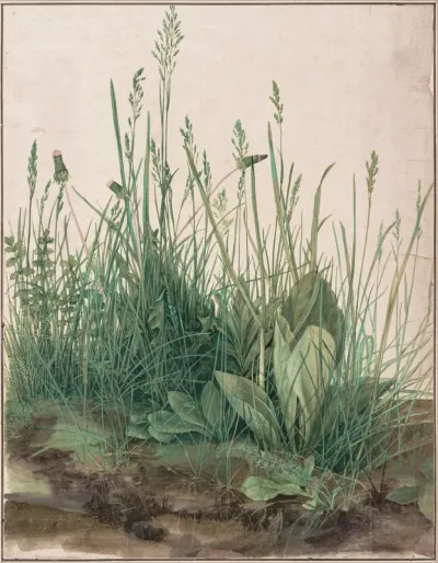 The Large Piece of Turf
