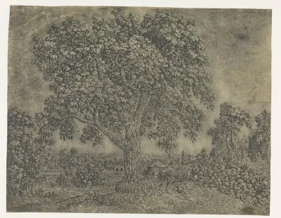 The Large Tree