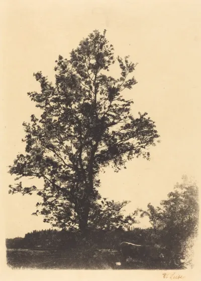 The Large Tree