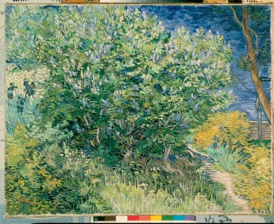 The Lilac Bush