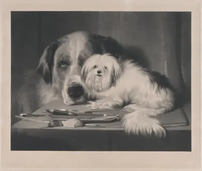 The Lion-Dog of Malta—The Last of His Tribe