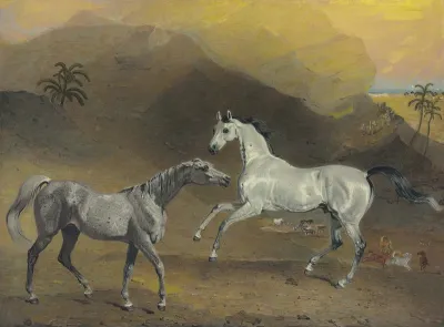 The Malcolm Arabian