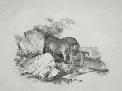 The Mare and Her Foal